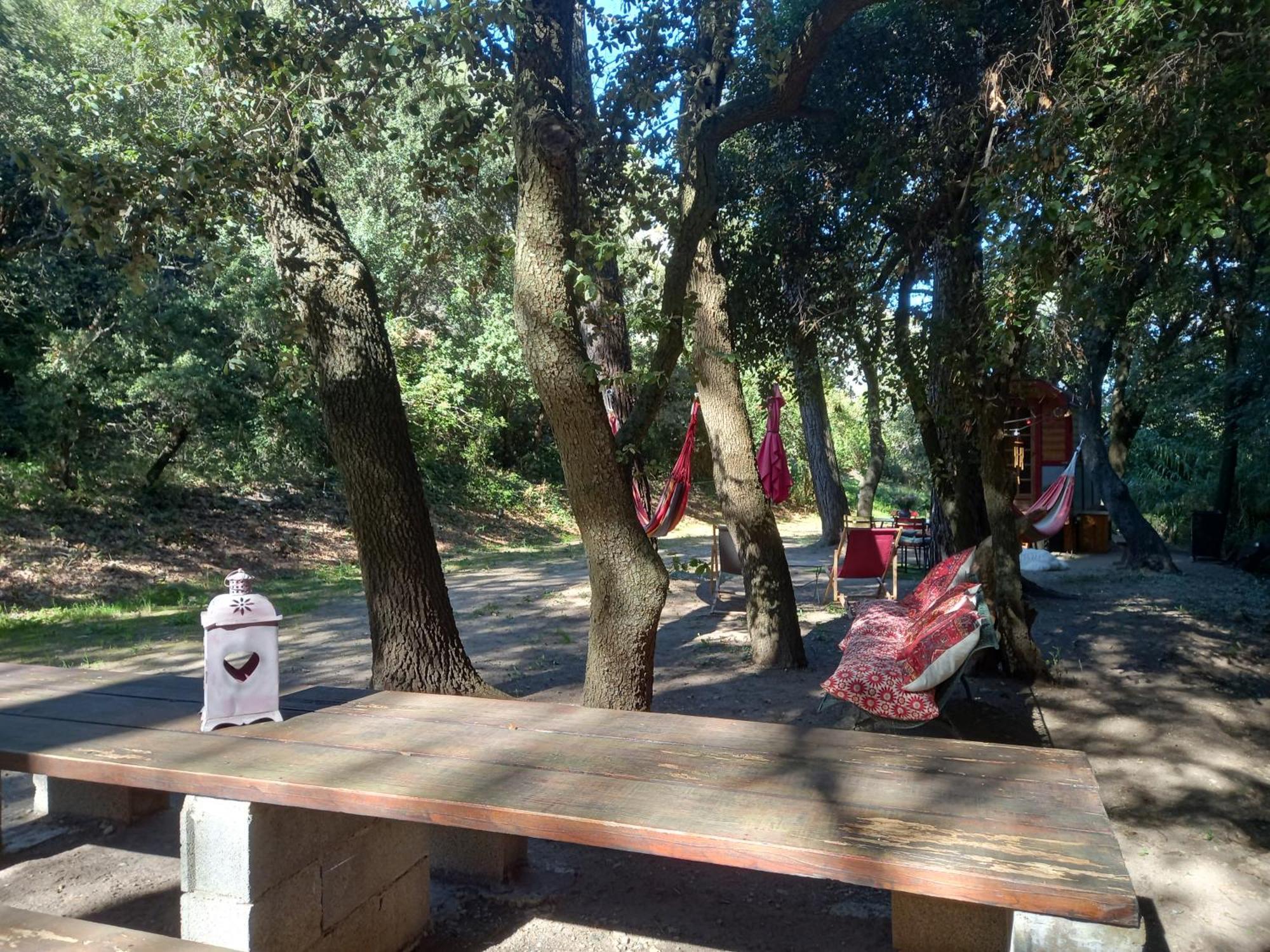 La Roulotte Du Petit Paradis Saint-Rémy-de-Provence Eksteriør bilde