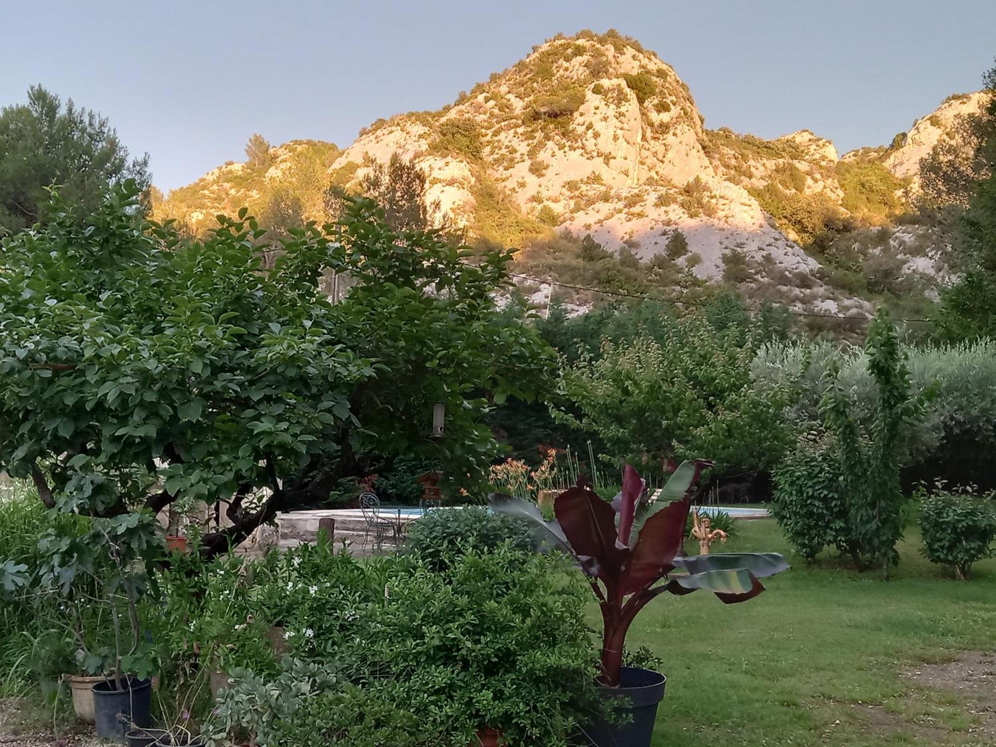 La Roulotte Du Petit Paradis Saint-Rémy-de-Provence Eksteriør bilde