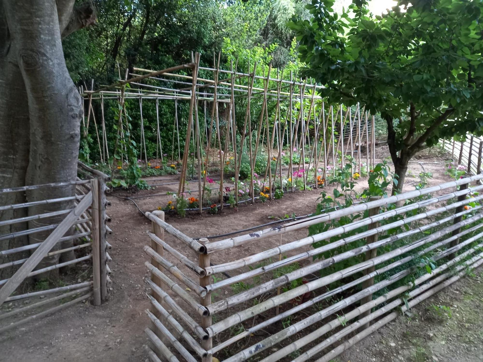 La Roulotte Du Petit Paradis Saint-Rémy-de-Provence Eksteriør bilde