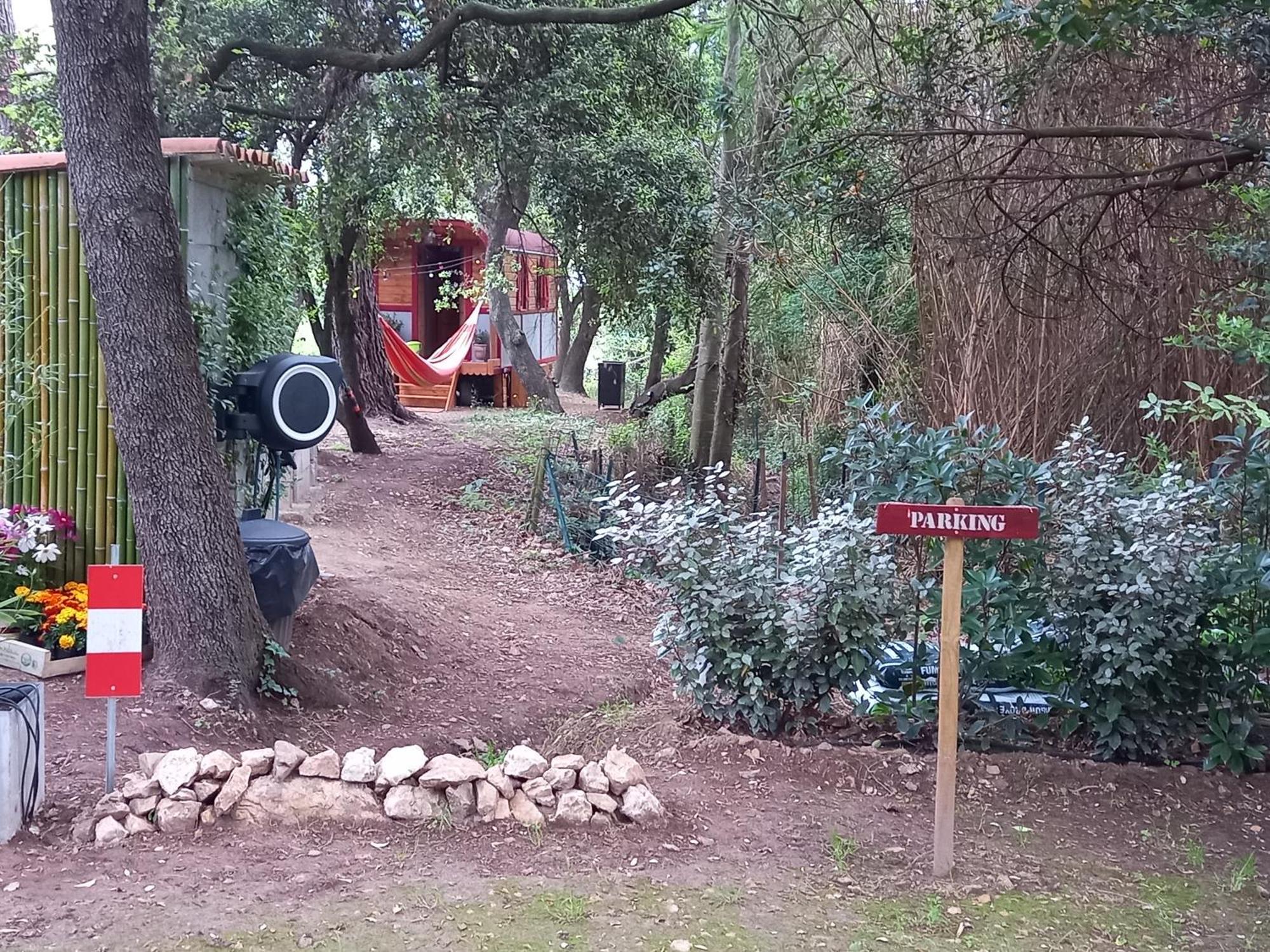 La Roulotte Du Petit Paradis Saint-Rémy-de-Provence Eksteriør bilde