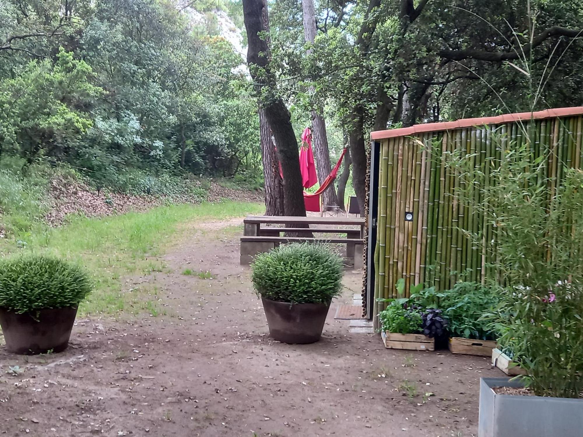 La Roulotte Du Petit Paradis Saint-Rémy-de-Provence Eksteriør bilde