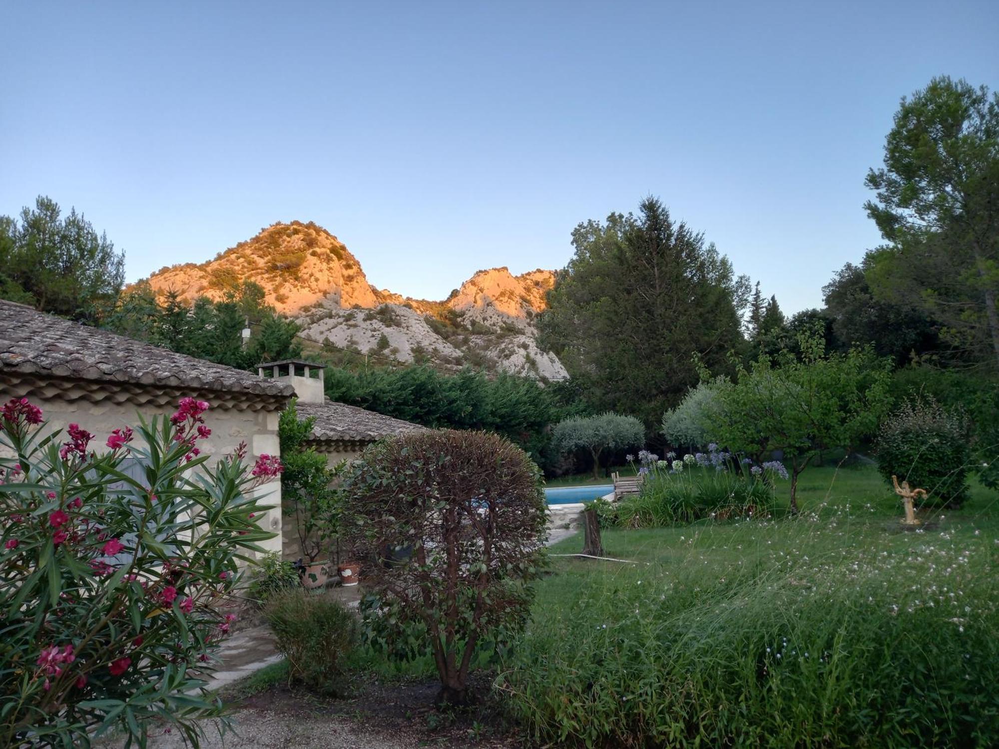 La Roulotte Du Petit Paradis Saint-Rémy-de-Provence Eksteriør bilde