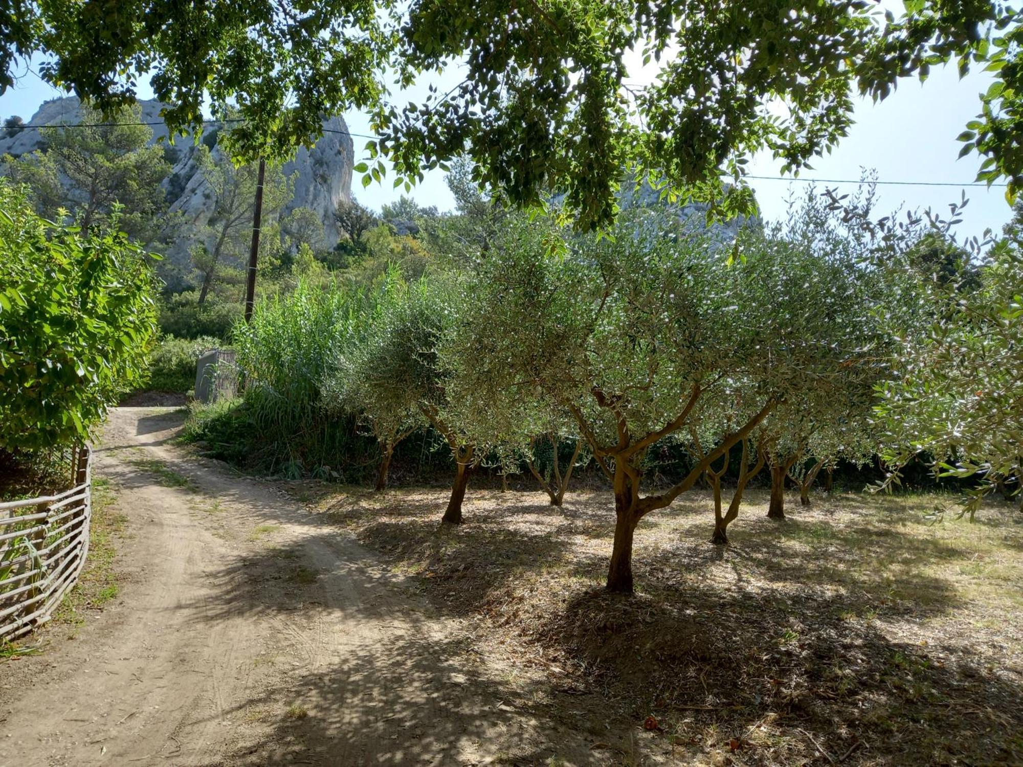 La Roulotte Du Petit Paradis Saint-Rémy-de-Provence Eksteriør bilde