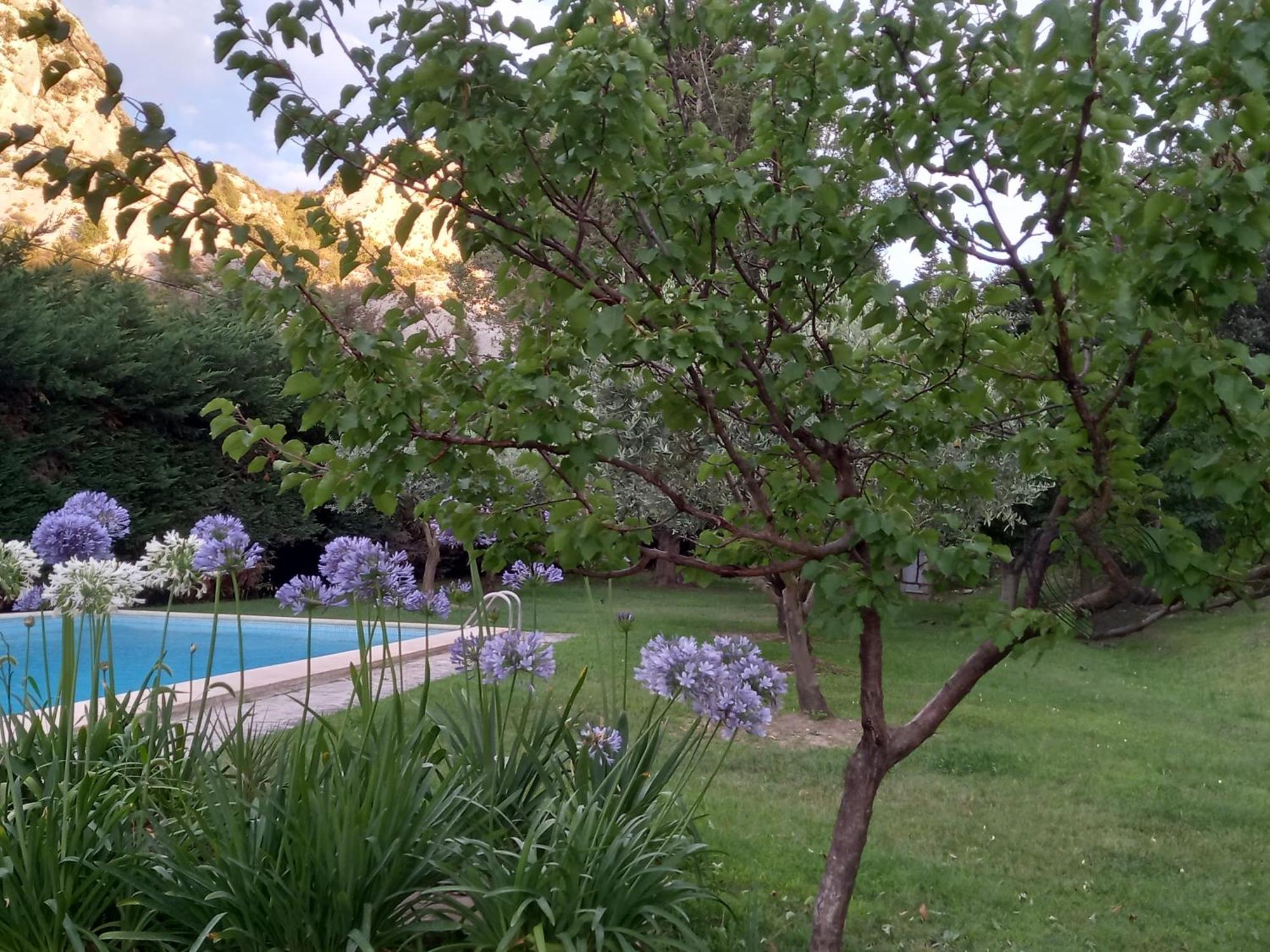 La Roulotte Du Petit Paradis Saint-Rémy-de-Provence Eksteriør bilde